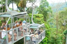 Puerto Limon Rainforest Aerial Tram Tour cruise excursion